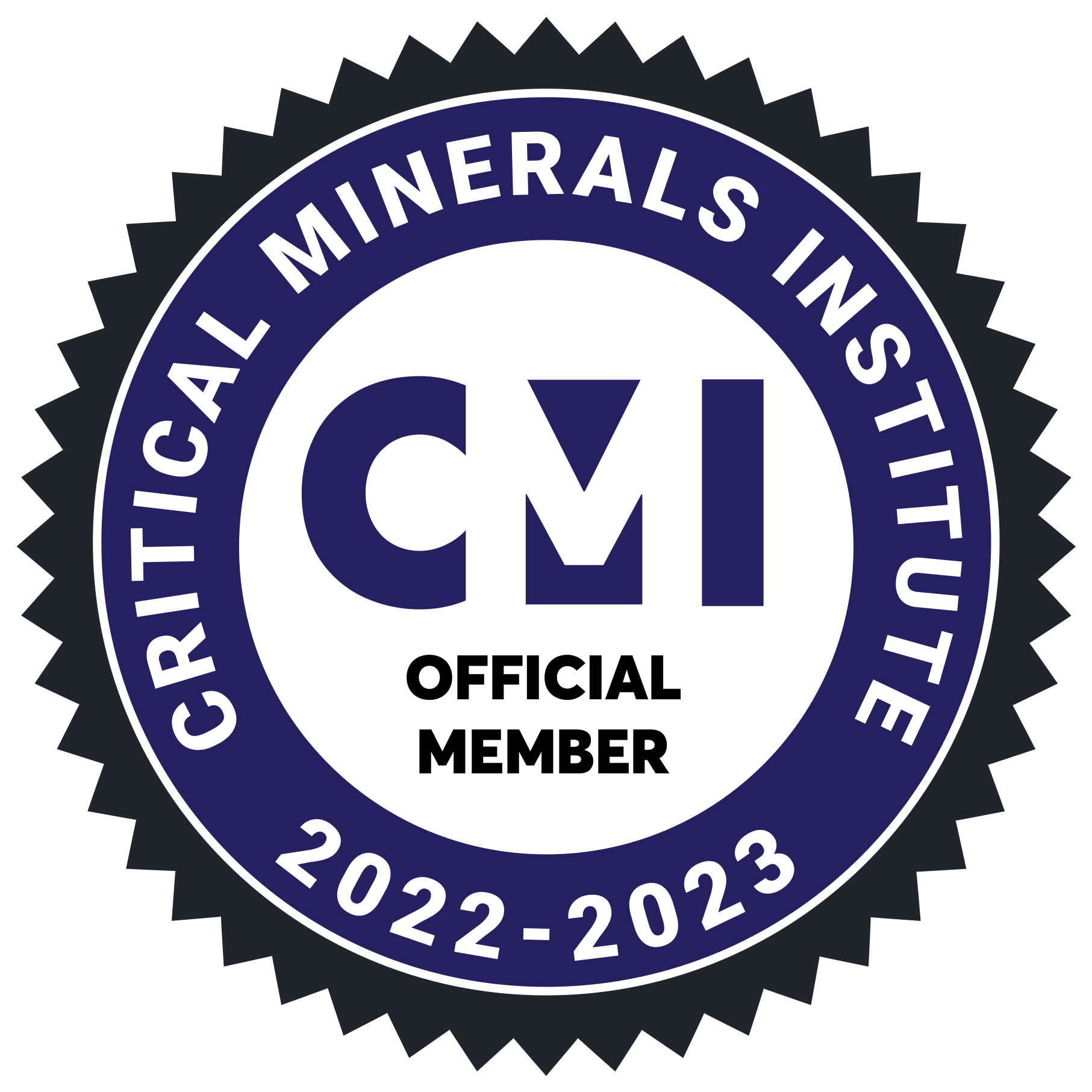 Critical Minerals Institute Member